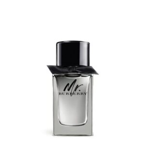 Burberry – Mr. Burberry Eau de Toilette