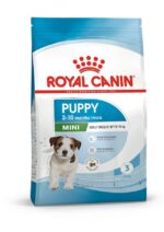ad-french-bulldog-packshot-bhn18