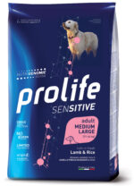 pet-smart-dog-002