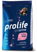 pet-smart-dog-002