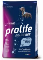 pet-smart-dog-002