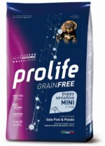 pet-smart-dog-002