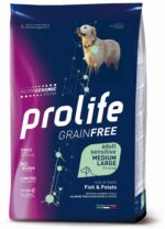 pet-smart-dog-002