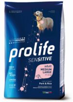 pet-smart-dog-002